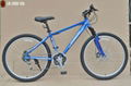 26"X1.95 Steel frame 18 speed phoenix mountain bike 1