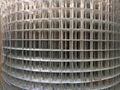 Welded wire mesh