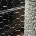 Hexagonal wire mesh  2