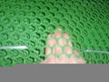 plastic netting 2