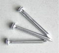 Common nail :Roofing nail :Cement nail  3