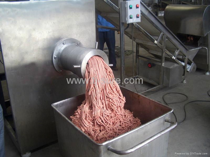 Frozen Meat Mincer 2