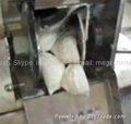 Dumpling Making Machine  2