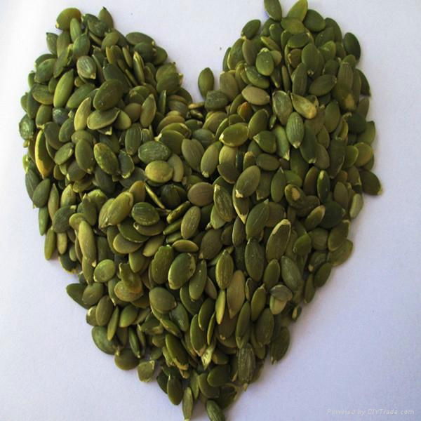 Best Pumpkin Seeds Grown Without Shell With Competitive Price 