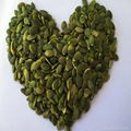 Best Pumpkin Seeds Grown Without Shell with Competitive Price 2