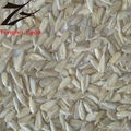 Low-price Organic Confectionary Sunflower Seed Kernels  1