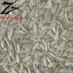 Low-price Organic Confectionary Sunflower Seed Kernels 