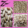 Bakery Sunflower Seed Kernels 2