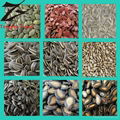 Bakery Sunflower Seed Kernels 4