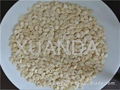 Low-price Watermelon Seed Kernels 2