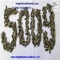 24/64 Sunflower Seeds 5009 on Sale by Factory 3