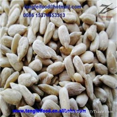 Bakery Sunflower Seed Kernels