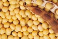 Soybean P.E.