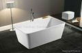 simple bathtub 1