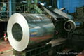 prepainted galvanized steel coil 1