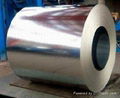 prepainted galvanized steel coil 2