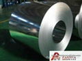 prepainted galvanized steel coil 3