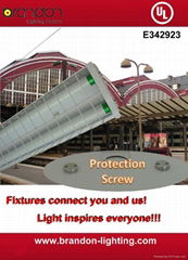 Straight Fluorescent Lighting Fixture with Protection Screws (2.5mm Wire Guard)