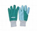 Gardon gloves