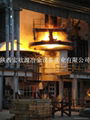 Electric arc furnace 1