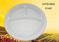 biodegradable plastic plates 9 inch 3 compartments