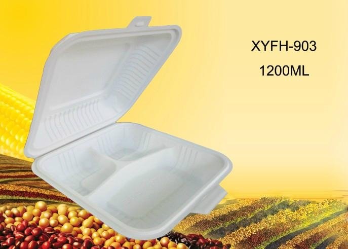 biodegradable food boxes  