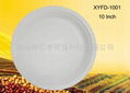 biodegradable compostable 10 inch three compartments plate 1