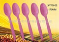 100%biodegradable disposable cutlery 2