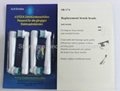 Hot Selling SB-17A Electric Toothbrush Heads EB17-4 Free Shipping By DHL 