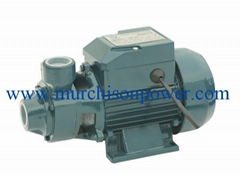 QB-60 electric clean water pump