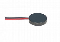 Piezo Buzzer(External Drive Type)   PP-10L