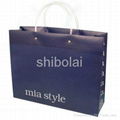 PP bag printed PP bag PP gift bag PP shopping bag 3