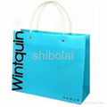 PP bag printed PP bag PP gift bag PP shopping bag 4