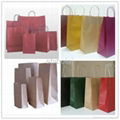 brown kraft paper bag printed paper bag shopping paper bags packaging bag 4