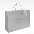 luxury paper carry bag  shopping bags