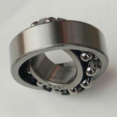 Self-Aligning Ball Bearing