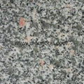 China three gorges green granite slabs 1