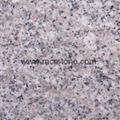 china sesame white granite slabs 1