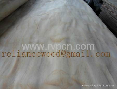 Radiata Pine Veneer 