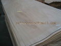 Hardwood Veneer 