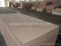 Okoume Plywood 