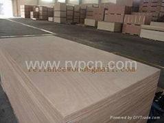 Okoume Plywood