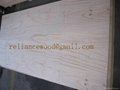 Radiata Pine Plywood 1