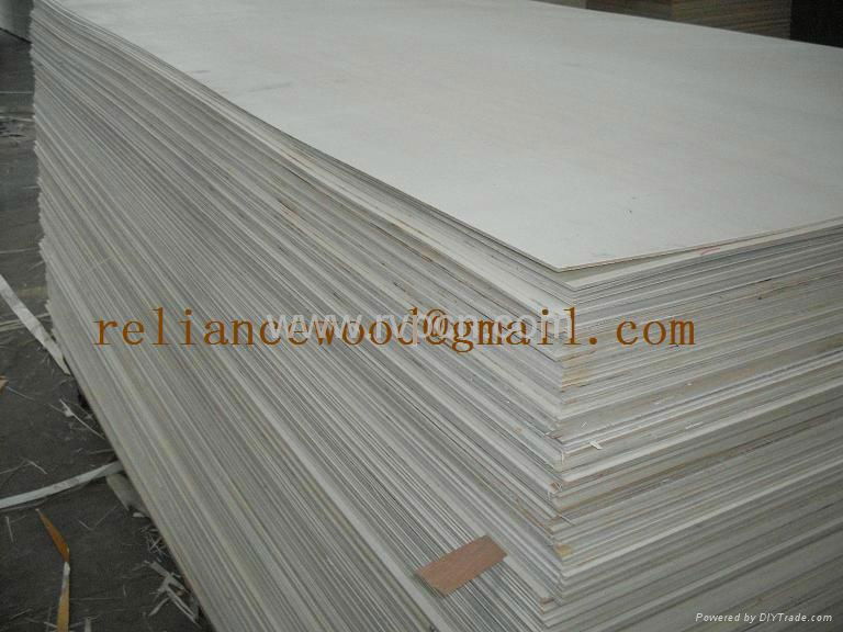 Bleeched Poplar Plywood