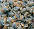 SALTED SHORT-NECKED CLAM