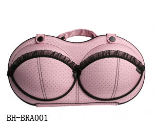 eva bra case