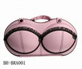 eva bra case