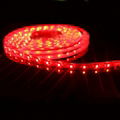 LED STRIP 1