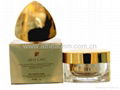 Golden Classical Anti-aging Face Cream 1