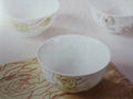 Open stock new bone china bowl with golden flower